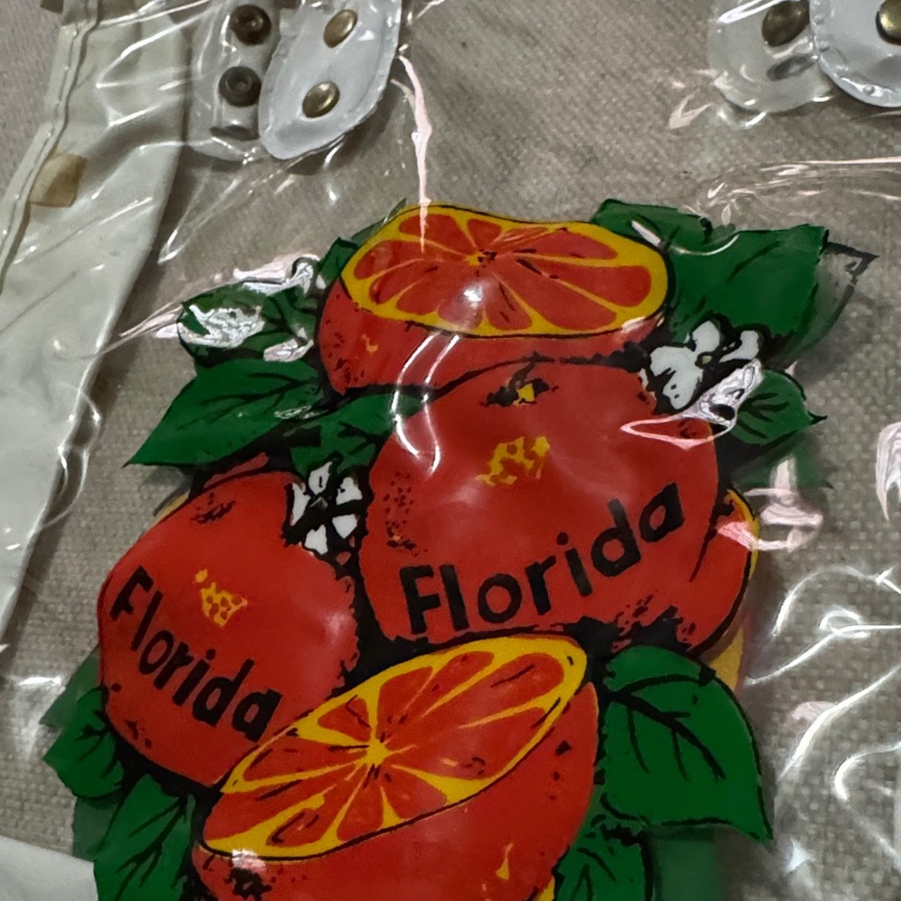 Vintage Florida Tourist Bag-Clear/White/Orange Double Sided Logo-Hand Carry-GUC - Picture 5 of 12